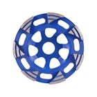 Distar-DIJAMANTNI BRUSNI LONCI, DISTAR DGS W RAPTOR BRUSNA PLOČA 125 MM, 55,97 EUR, KOM, DS6016, AKCIJA